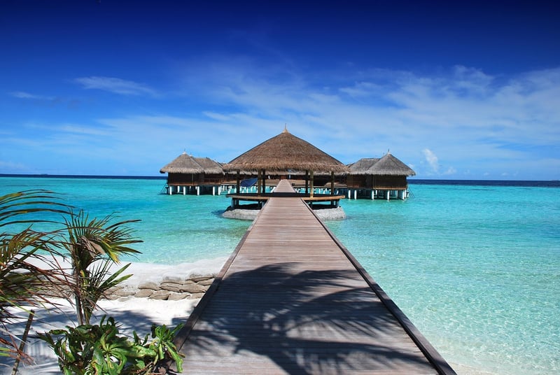 Modern Vacation Destination